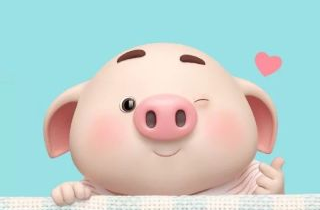 每日最美壁纸丨你见过这么可爱的小猪吗？
